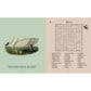 Audubon's Birds Wordsearch by Erick Saunders