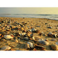 Low Tide/Doran
