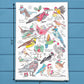 Christmas Backyard Birds tea towel