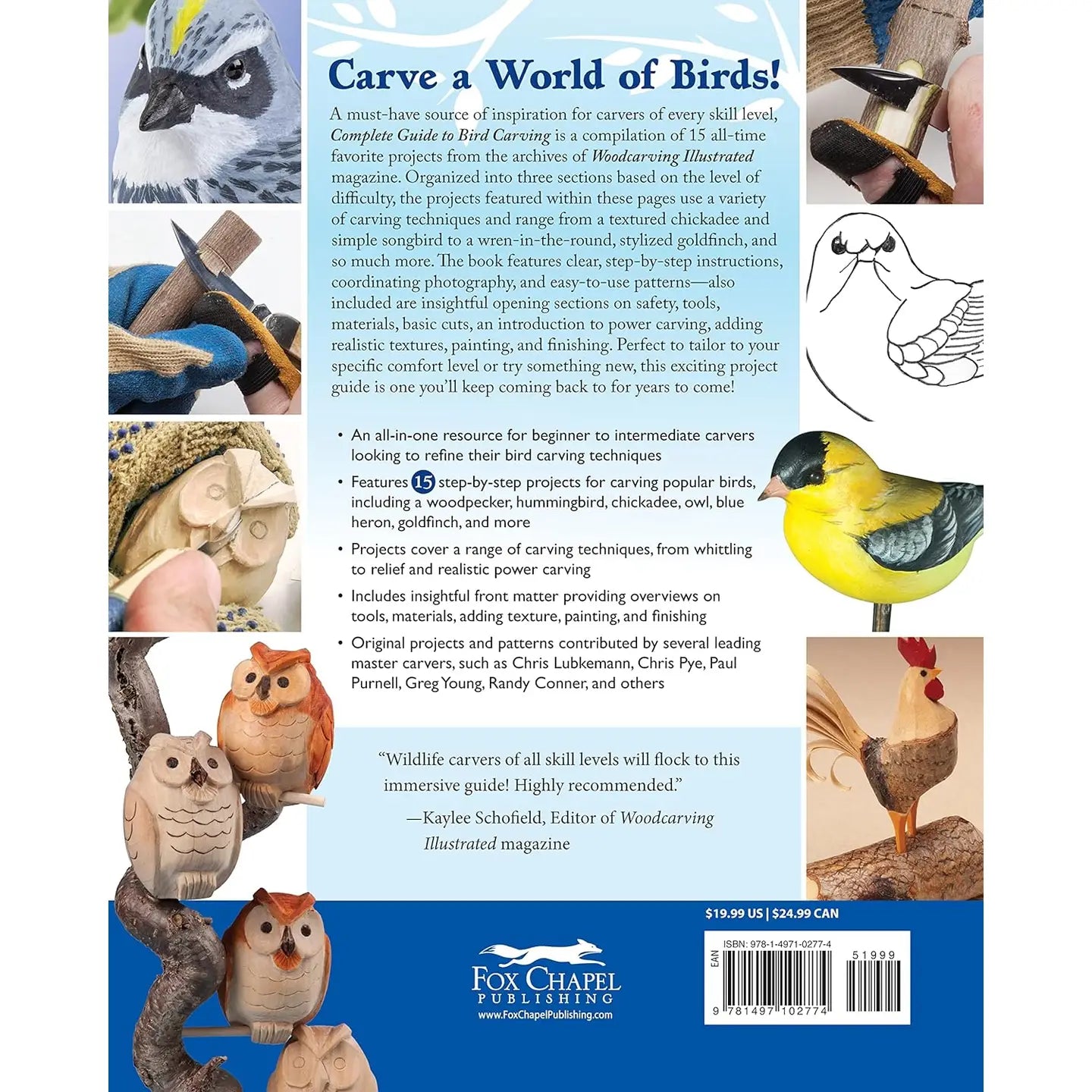 Complete Guide to Bird Carving