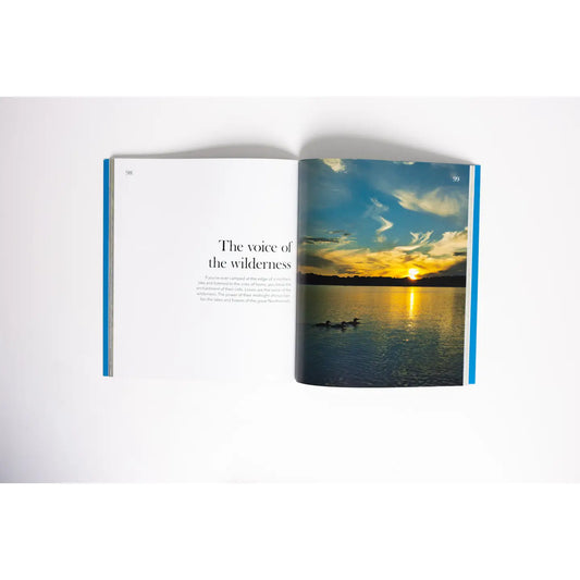 Loons: The Iconic Waterbirds