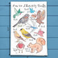 How to identify Birds tea towel