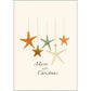 Beachcomber Christmas Notecard Set