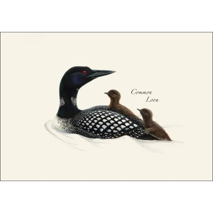 Loon Assortment