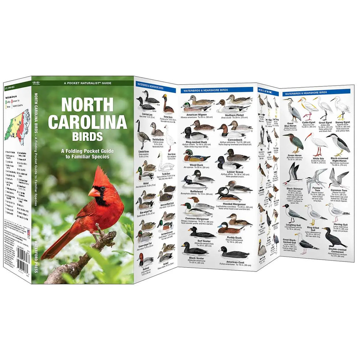 NC Birds by James Kavanagh