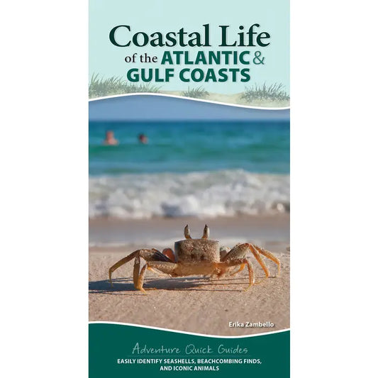 Coastal Life Atlantic & Gulf Coasts Quick Guide