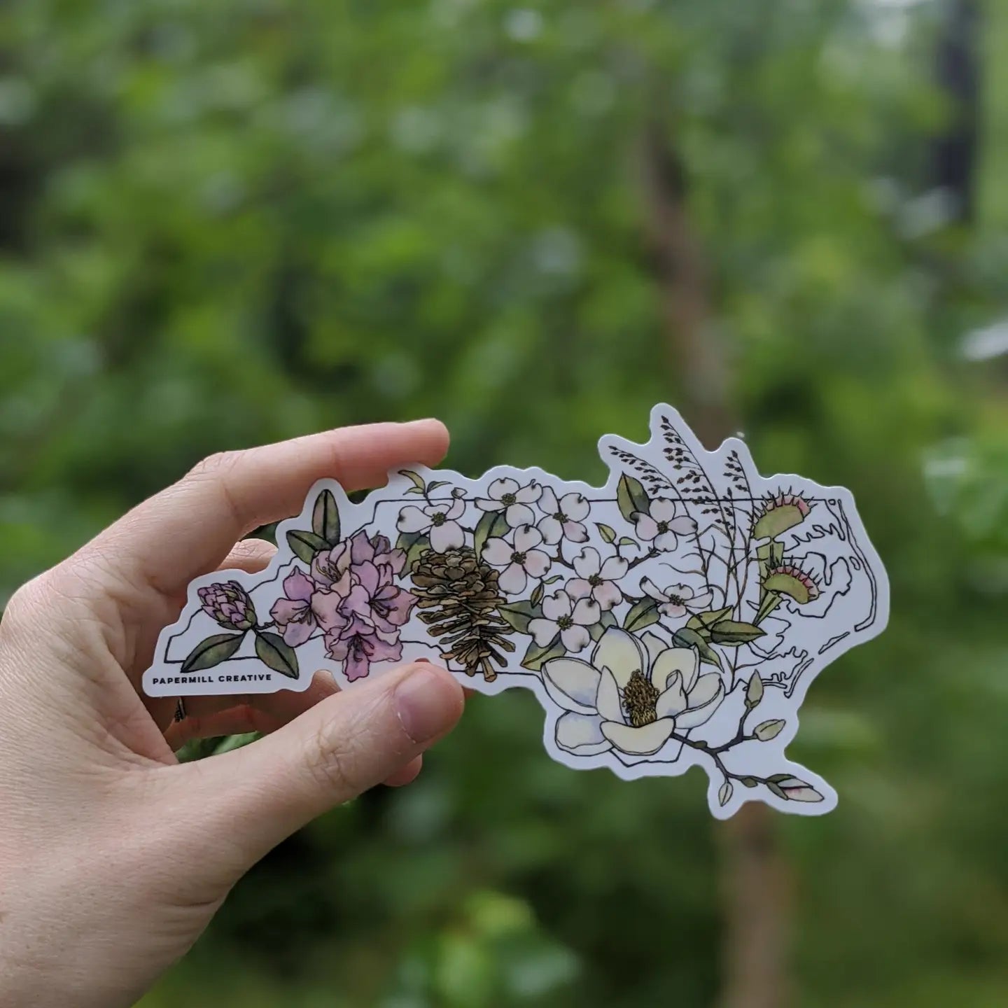 NC Native Plants Vinyl Sticker Large