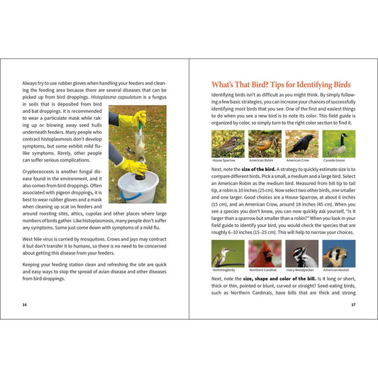 Birding for Beginners-South