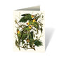 Audubon's Birds of America: An Abbeville Notecard, Cards