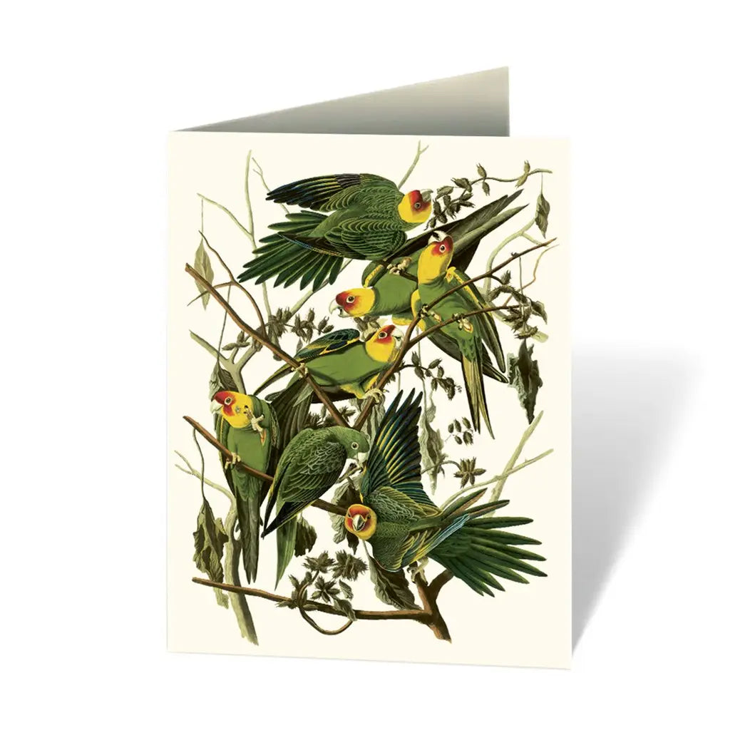 Audubon's Birds of America: An Abbeville Notecard, Cards