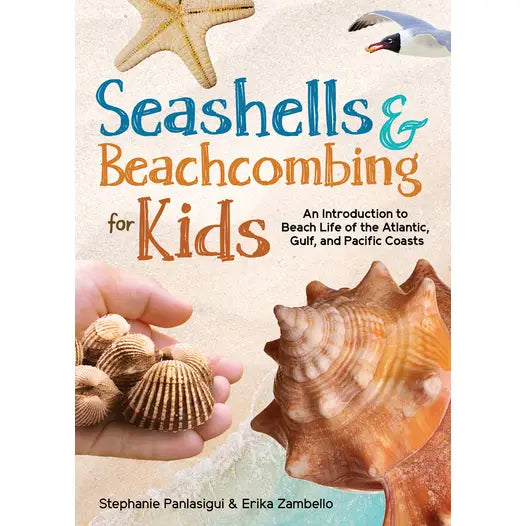 Seashells and Beachcombing for Kids