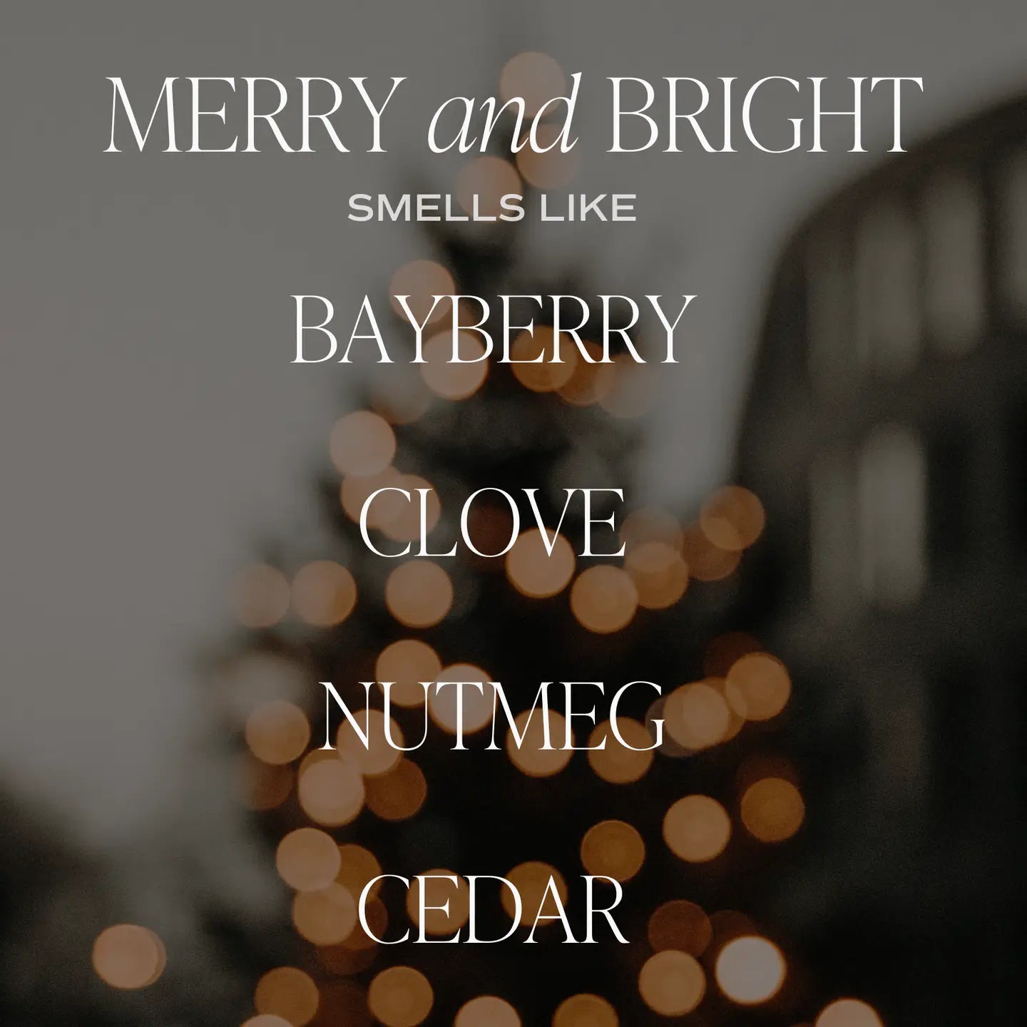Candle, Merry and Bright 9 oz Soy