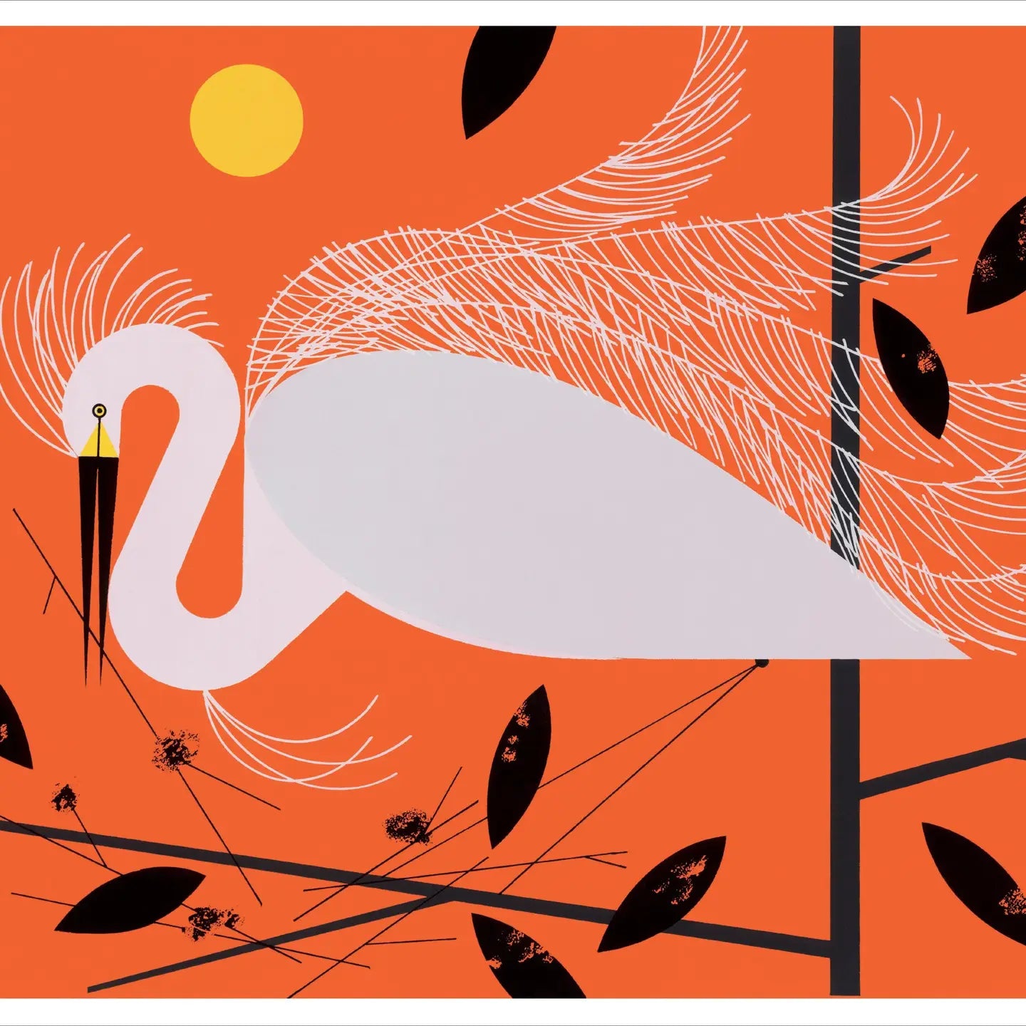 Snowy Egret Notecard