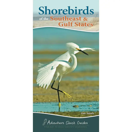 Shorebirds of the Southeast & Gulf States