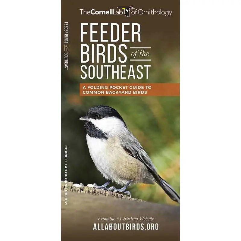 Feeder Birds of the Southeast