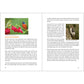 Birding for Beginners-South