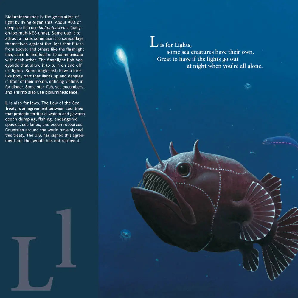 W is for Waves: Ocean Alphabet