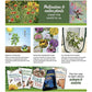 Pollinators & Native Plants