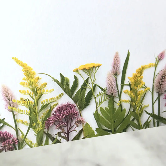 Flat Card Set - Wildflowers of Summer