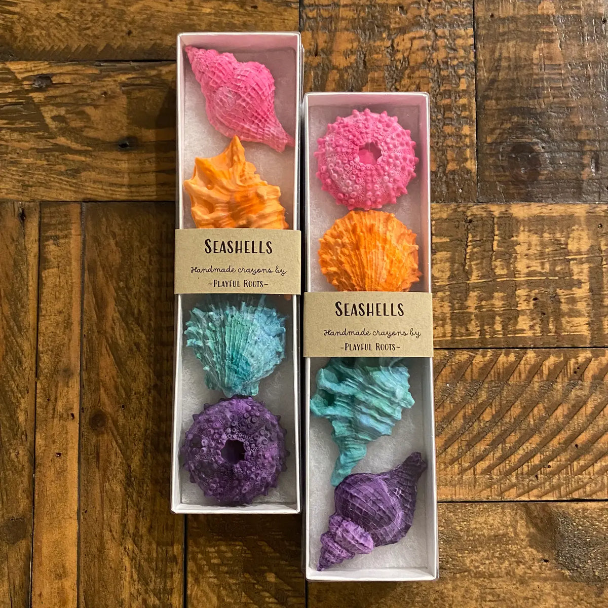 Seashell Crayon Gift Set