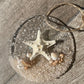 Coastal Suncatcher/Ornament - Stairfish