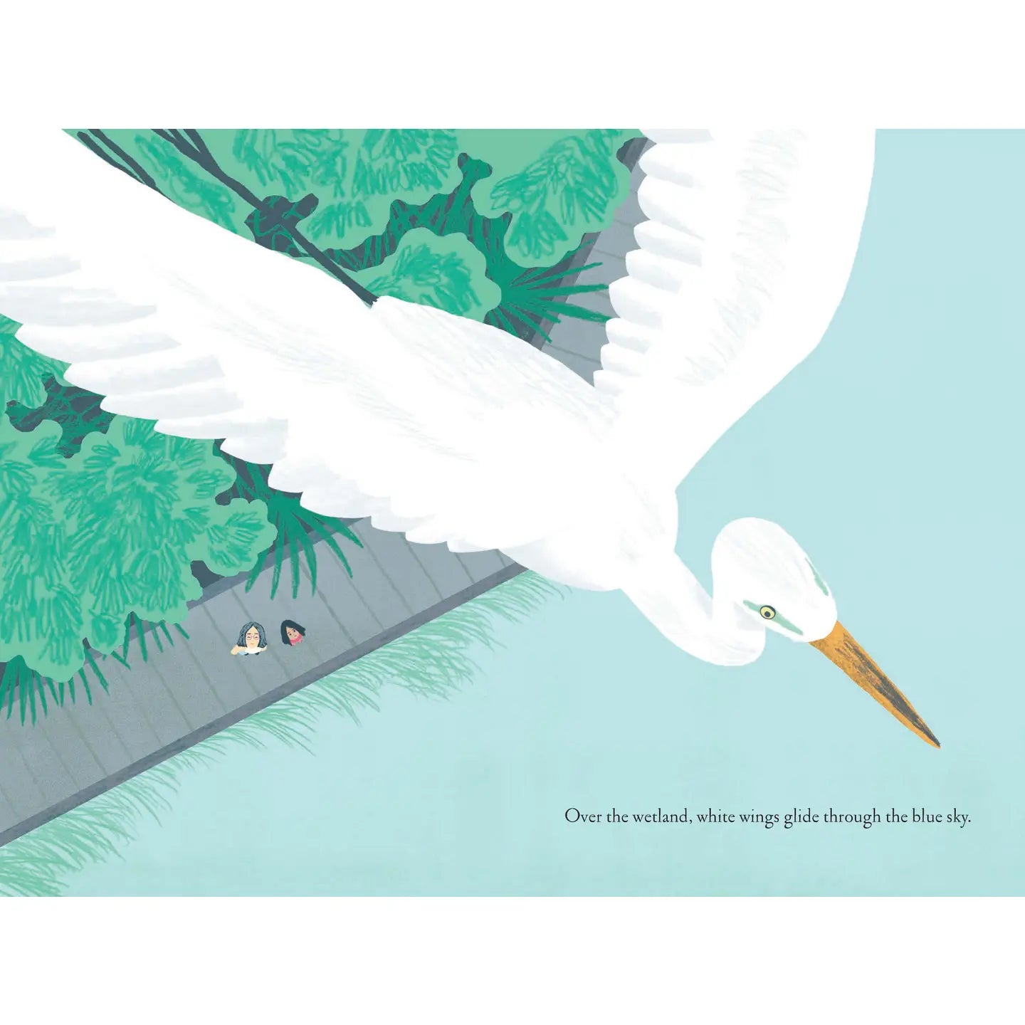 Over and Under the Wetland