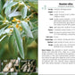 Trees of the Carolinas Field Guide