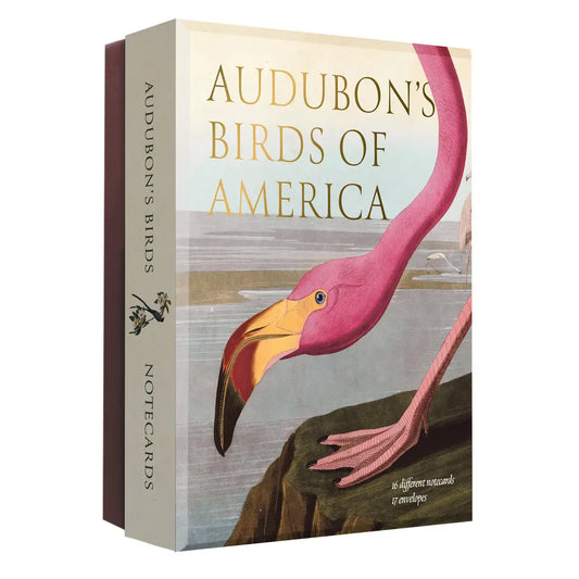 Audubon's Birds of America: An Abbeville Notecard, Cards