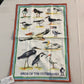 Birds of Outer Banks T-Towel