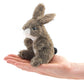 Mini Jack Rabbit
