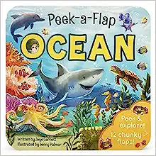 Ocean Peek-A-Flap