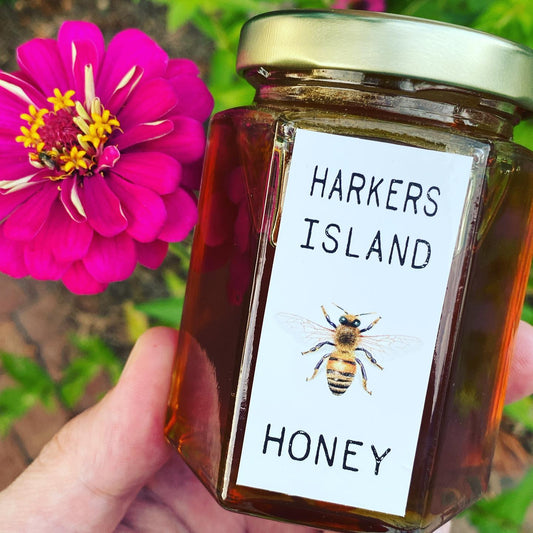 Harkers Island Honey Hexagon Jar,  Barnette Bees,