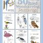 50 Bird Woodcarving Patterns Frank C. Russell