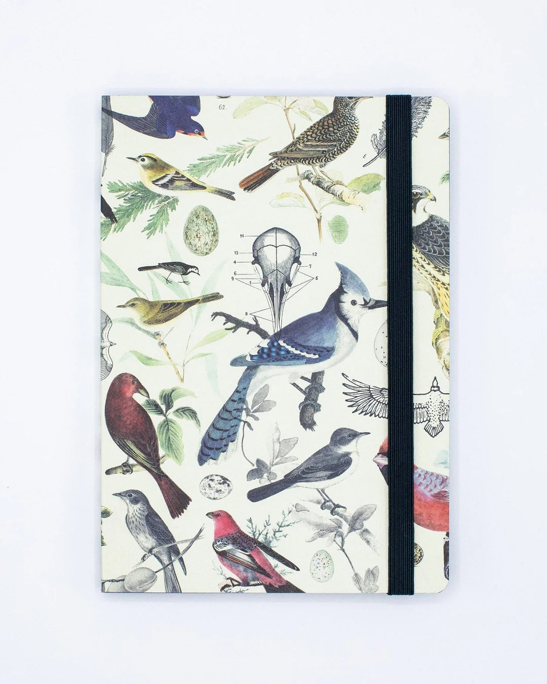 Birds & Feathers Softcover Notebook