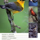 Birds of the Carolinas, Second Edition,By Eloise F. Potter , James F. Parnell , Robert P. Teulings , Ricky Davis Published: April 2006