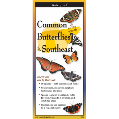 Common Butterflies of the Southeast Waterproof Folding Field Guide