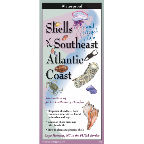 Shells of the Southeast Atlantic Coast Waterproof Folding Field Guide