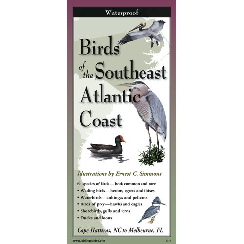 Birds of the Southeast Atlantic Coast Waterproof Folding Field Guide