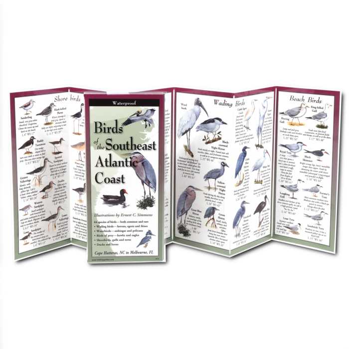 Birds of the Southeast Atlantic Coast Waterproof Folding Field Guide – Core  Sound Store