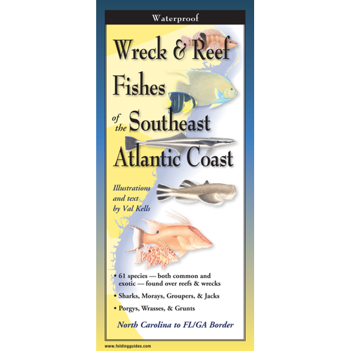 Wreck & Reef Fishes of the South Atlantic Coast