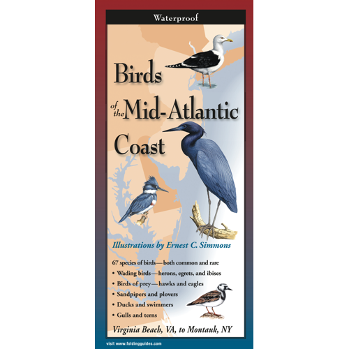Birds of the Mid-Atlantic Coast