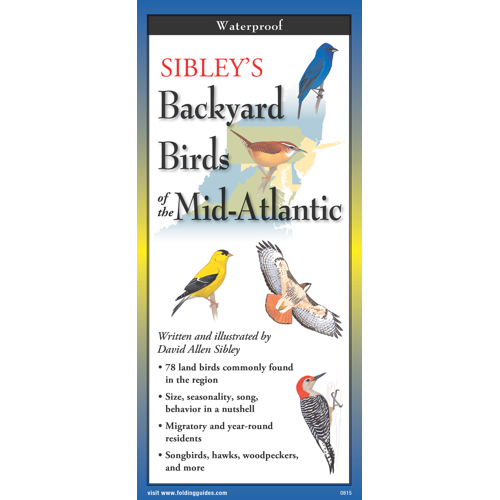 Sibley's Backyard Birds of Mid-Atlantic