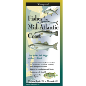 Fishes of the Southeast Atlantic Coast