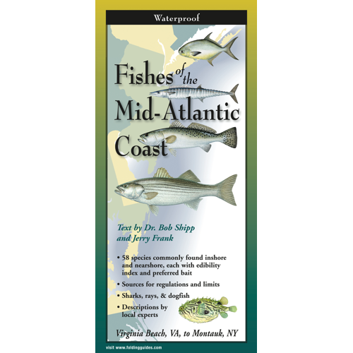 Fishes of the Mid-Atlantic Coast