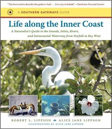 Life Along The Inner Coast by Robert A Lippson