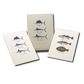 Saltwater Fish Boxed Note Asst. Cards