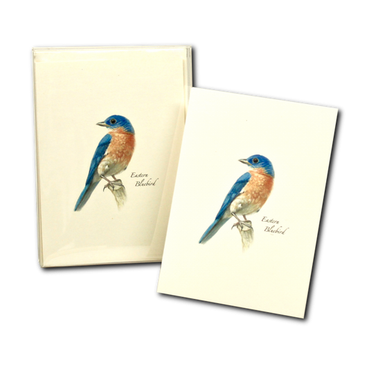 Bluebird II - Note Cards