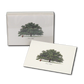 Live Oak Boxed Note Cards