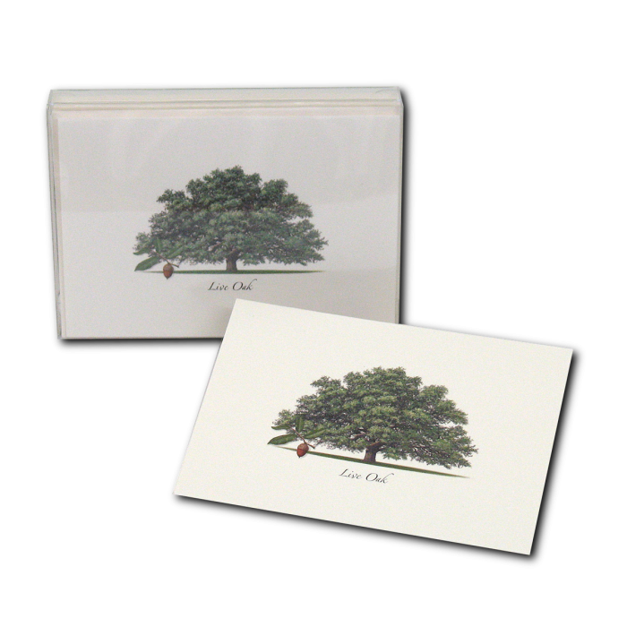 Live Oak Boxed Note Cards