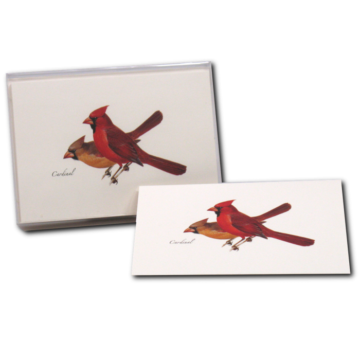 Cardinal - Note Cards